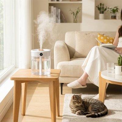 Humidificateur d air​ 